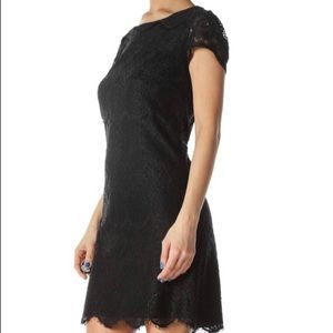 Laundry by Shelli Segal Lace Shift Dress